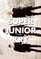 Super Junior - super-junior fan art
