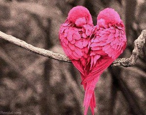  wewe AND MEH MAKE A pink BIRD HART