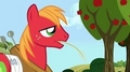 ponies - my-little-pony-friendship-is-magic photo