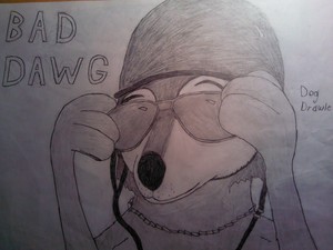 "Bad Dawg" drawing by Dog Drawler
