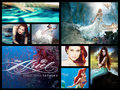 Ariel Merchandise and images collage - disney-princess fan art