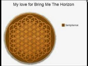  BMTH