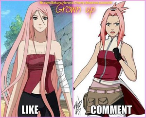  Grown up Sakura