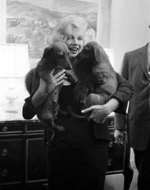  Marilyn loved animales