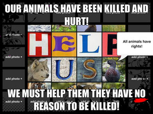 Save our animals