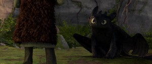 Toothless The Dragon 