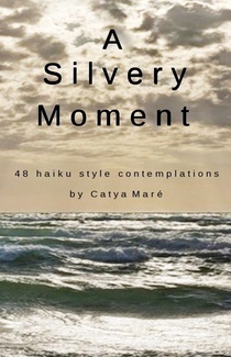 cover art, "A Silvery Moment"