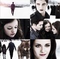 forver is just the beginning<3 - edward-and-bella photo