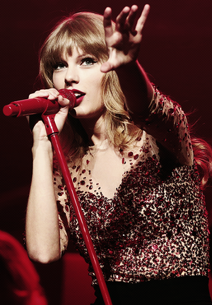  Amore tay