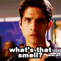what's that smell? betrayal. - teen-wolf photo