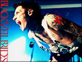 ★ Andy ☆  - andy-sixx wallpaper