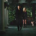“Ever has it been that love knows not its own depth until the hour of separation.” - klaus-and-caroline fan art