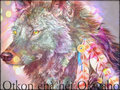 wolves - ★ Otkon enà héi Okwaho ☆  wallpaper