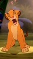 "The Lion King" - disney photo