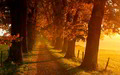 autumn - Autumn Scenery wallpaper