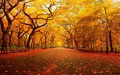 autumn - Autumn wallpaper