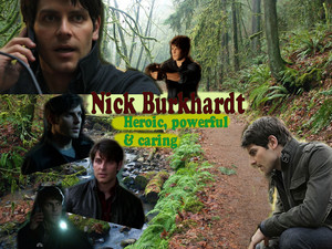  Grimm - Nick Burkhardt - Heroic, powerful & caring