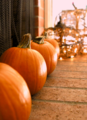 Pumpkins - autumn photo