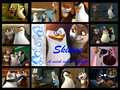 Skilene collage - penguins-of-madagascar fan art