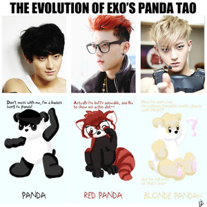  Tao's Evolution xD