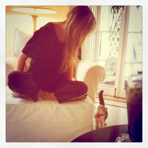 Taylor Swift and her cat Meredith 
