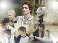 The Cullens - twilight-movie photo