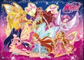 Winx club fan made and regular transformations - the-winx-club photo