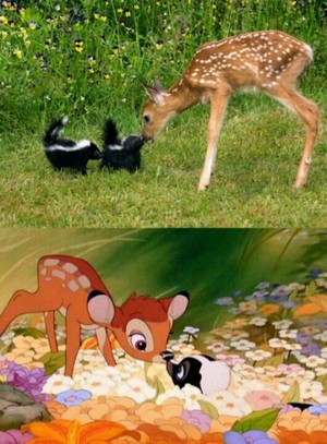 bambi and پھول