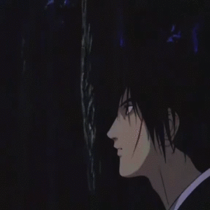  *Kenshin*