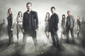 (S5) The Vampire Diaries and (S1) The Originals promotional poster. - the-vampire-diaries photo