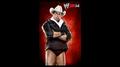  WWE 2K14 - JBL - wwe photo