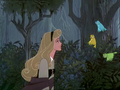 Disney Princess Aurora - disney-princess photo