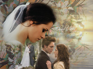 Edward&Bella's wedding and honeymoon