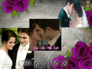 Edward&Bella's wedding and honeymoon
