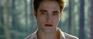 Edward Cullen,the sexiest vampire EVER