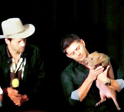 Jensen & Misha - Dallas Con 2013