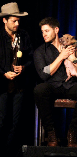  Misha and Jensen - Dallas Con 2013