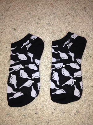  Bird Socks