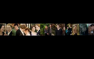  cullen couples banner for mia