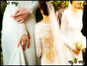  Bella's wedding dress