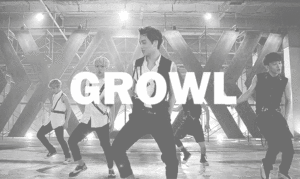~♥EXO-Growl♥~
