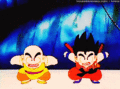 *Goku & Krillin* - dragon-ball-z photo