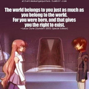[Tumblr] Gundam SEED Quotes