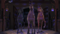 Barbie & Her Sisters in A Pony Tale Bloopers HQ - barbie-movies photo