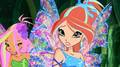 Bloom and Flora - the-winx-club photo