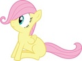 My fillys - my-little-pony-friendship-is-magic photo