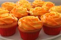 Orange Cupcakes - random photo