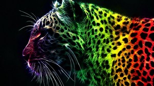  regenbogen leopard