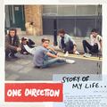 Story of My Life Cover - one-direction photo