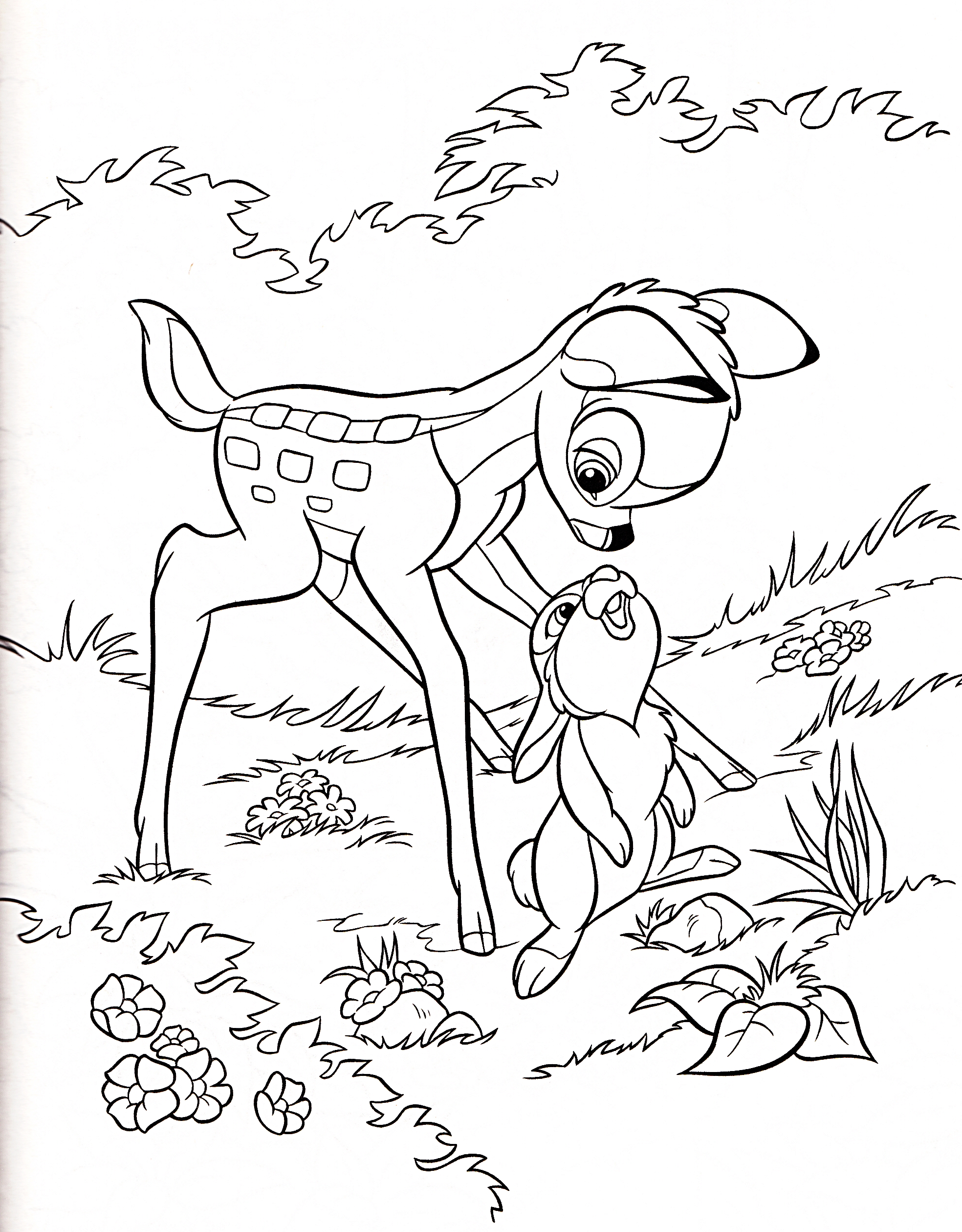 walt disney coloring pages  bambi  thumper  walt disney
